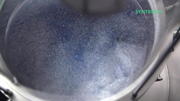 美容液 SUPERJECTION Sea Powder Box Waterproofing Coating Zydex Elastostretch Single Component